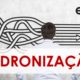 NÃO EXISTE GERENCIAMENTO SEM PADRONIZAÇÃO