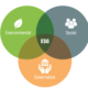 Environmental Social and Governance ESG