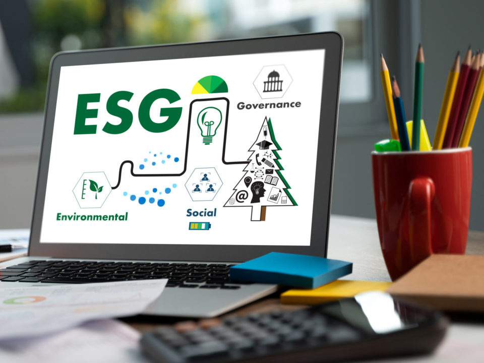 QUAL O PAPEL DO CONSUMIDOR NA PRIORIZAÇÃO DA PAUTA ESG PELAS EMPRESAS BRASILEIRAS