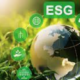 ESG: Construindo Vantagens Competitivas e Transformando Negócios