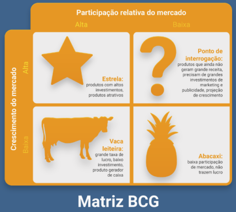 Entendendo A Matriz BCG Origem Aplicabilidade E Cases