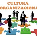 Cultura Organizacional